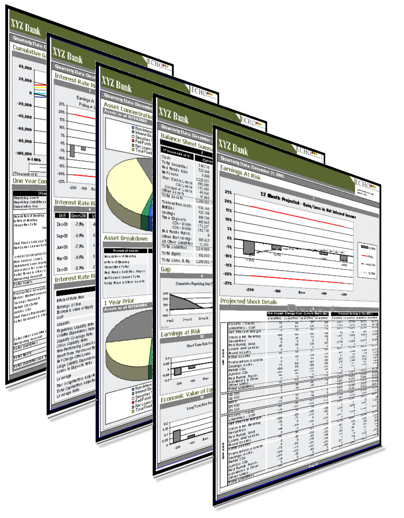 Asset Liability Report