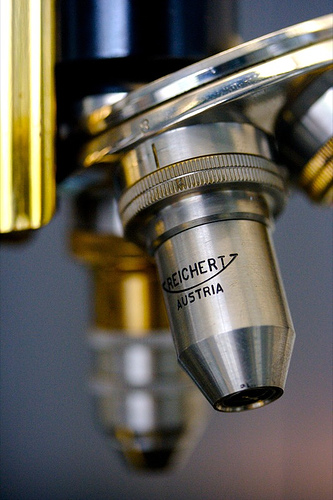 Microscope