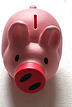 piggy bank